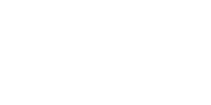 Logo Fulgurance Production - Noël